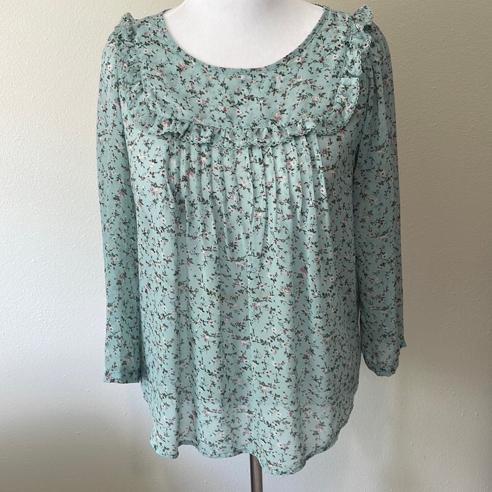 Women’s Gap Medium Long Sleeve Sheer Floral Frilly Blouse